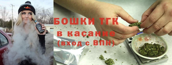 прущие крисы Арсеньев
