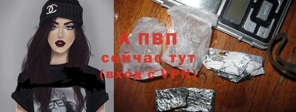 шишки Армянск
